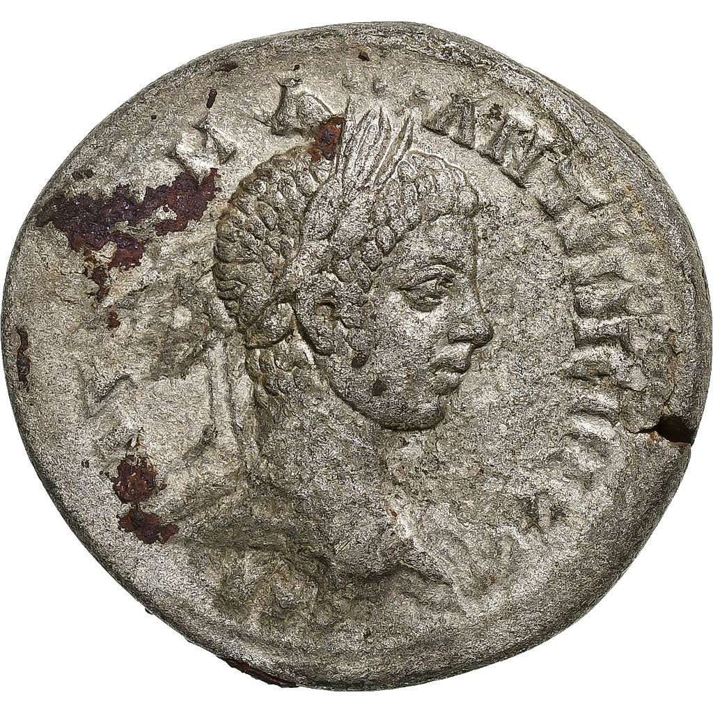 Seleucus a Pieria, 
  
  Elagabalus, 
  
  Tetradrachm